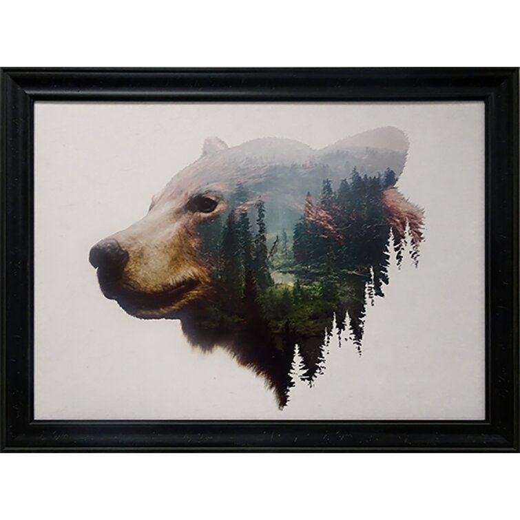 Loon Peak® Pacific Northwest Black Bear Framed On Paper by Davies